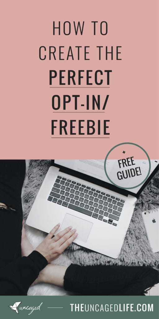 how to create the perfect opt-in / freebie